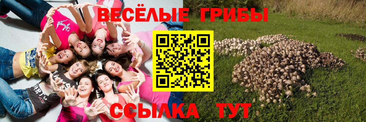Псилоцибиновые грибы мицелий Симферополь